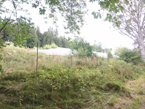 Foto 150